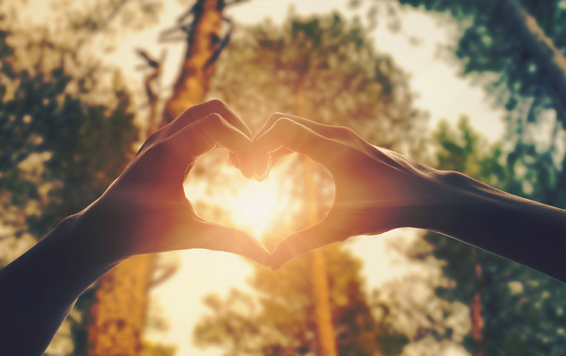 Hofbrauhaus Biergarten Blog - Showing Some Love